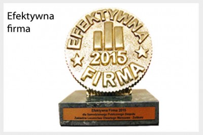 Statuetka Efektywna firma